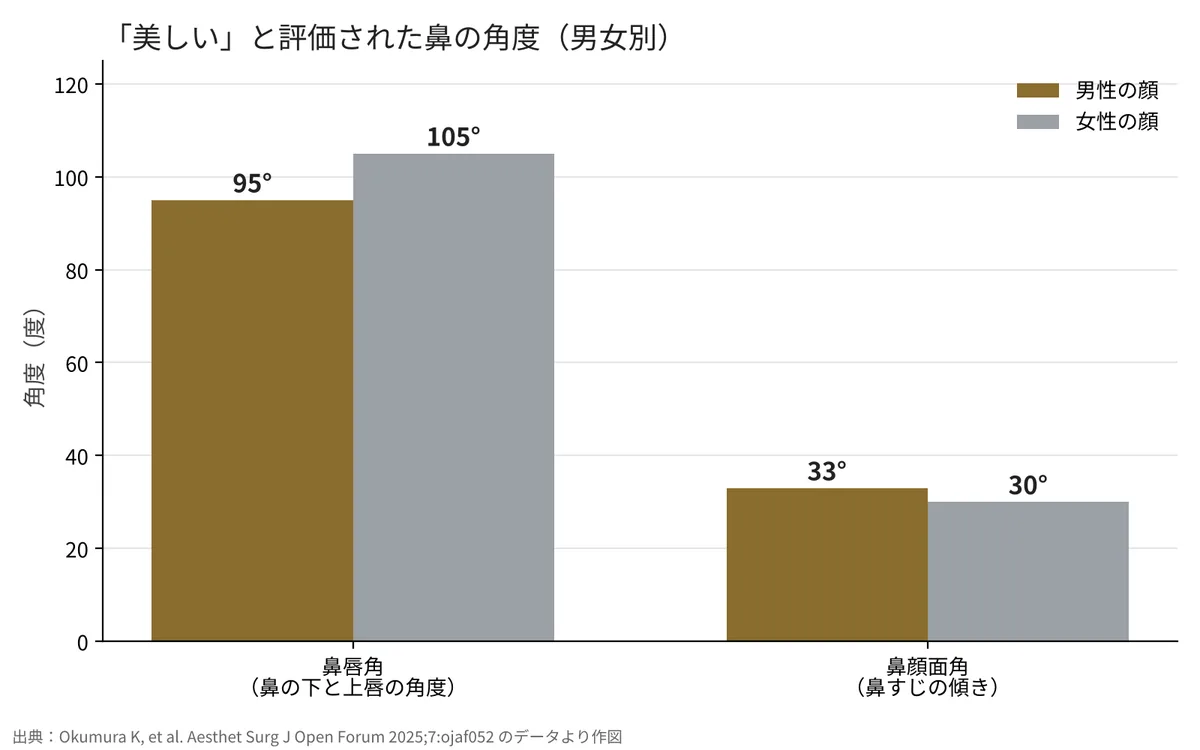 男性の顔では鼻唇角95°・鼻顔面角33°、女性の顔では鼻唇角105°・鼻顔面角30°が最も美しいと評価された